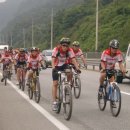 그린바이크 이미지