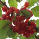 김영종 농장 이미지