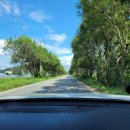 파주파인밸리 이미지