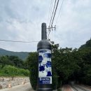 부산터널입구 02023 | 부산 대구 근교 실내 데이트코스 청도 와인터널ㅣ내돈내산 후기