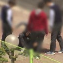 (학교)주문진중 이미지