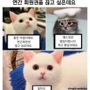 스토리회원권
