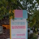 소풍애견호텔