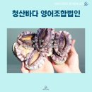 청산바다영어조합법인 네이버블로그