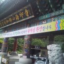 삼가초등학교 앞 Daum카페