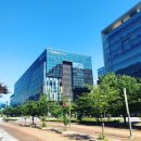 판교인생 이미지