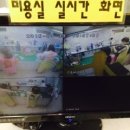 독스동물병원 이미지