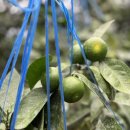 천창일농장 이미지