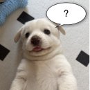 중앙카써비스 | 사카바 사시스, 텐진중앙공원, 빵스톡, 오호리공원...스토어, 세이코 매장, 이나치카 오이시이 파스타