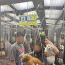 포메리카노 이미지