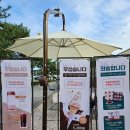 서동공원(궁남지 부근) 음식특화거리 | [부여 여행] 2023 대백제전 | 부소산성, 국립부여박물관, 궁남지, 백제문화단지