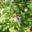 진심담다 이미지