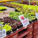 수원농협 경제사업장 이미지