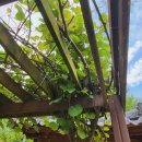 소망요양원 이미지