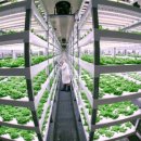 기지농장 이미지