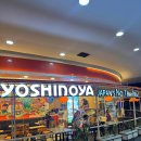 LaBu | 요시노야 자카르타 솔직 후기 (One Belpark Mall)