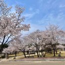 솔내음공원 화장실 이미지