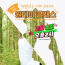 요가와 정신 집중력 강화★원데이 클래스 | 요가 원데이 클래스, ‘명절증후군 어깨테라피’ 후기!