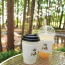 강화도 감성카페 메타포레스트, 사진은 찐맛집인데... 음료는 글쎄요? (솔직 후기)
