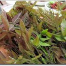 사천민박 이미지