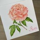 봄맞이 꽃그림 보태니컬 아트 이미지