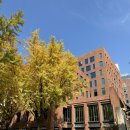 루쏘 카페 앞 이미지