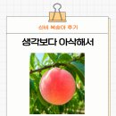 과일아삭 | 신비복숭아 후기 생각보다 아삭해서 놀랐던 과일