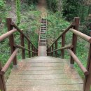 사색의길(명재고택) 이미지