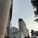 라세느 | [food] 양갈비가 날 쳐다봤어요. 그래서 먹었습니다. - 라세느 후기