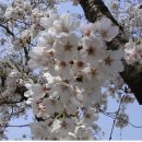 노송황토민박 이미지