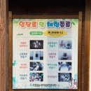 원주곤충마을박물관 이미지