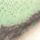 강성치과의원 이미지