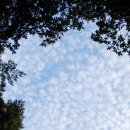 용봉초교 - 우 | 용봉산_20141009-1010