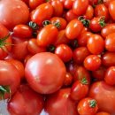 토마토를 더 먹어야 하는 10가지 이유 이미지
