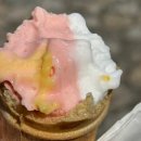 첼로 (B) | 마카오 레몬첼로 세나도광장 젤라또 아이스크림 맛추천