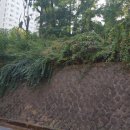 계림산업 티스토리
