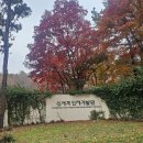 바른자세개발원
