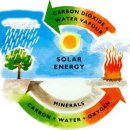 탄소 중립(Carbon Neutral) 이미지