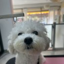 멍키매직 이미지