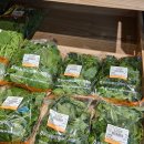 포천농협 로컬푸드직매장 이미지