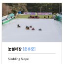 양군밧데리 | 광주 패밀리랜드 자유이용권 50% 할인 &amp; 눈썰매장 2026 시즌 개장 정보 (주차, 열차, 수험생 할인)