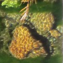 동편보건진료소 이미지