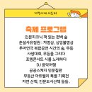 아트밸리 피크닉 콘서트 이미지