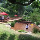 용문산야생화마을 이미지