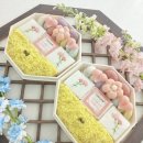 별빛담