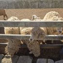 남해목장 이미지