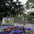 (주)골든아워이피티씨 | 보라매공원 | 2025 서울국제정원박람회(5.22~10.20) 5/28 평일 저녁 다녀온 후기~