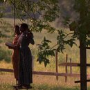 칼라퍼플 이미지