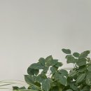 태안내과의원 이미지