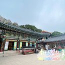 오션힐민박
